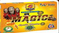 Lion Matches (10 Box with 5 Color)
